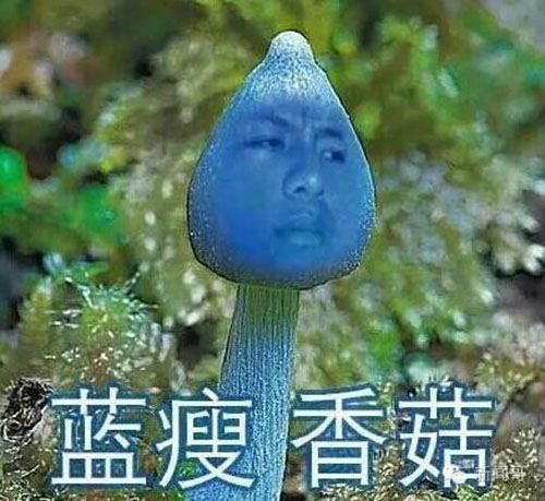 藍瘦,香菇 網紅